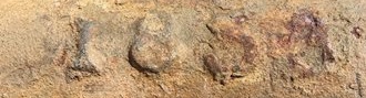 Close-up image of a rusted metal pipe or cylinder with the engraved marking “1859” partially visible on its surface, showing signs of corrosion and aging.