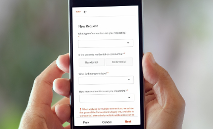 person holding phone in hands