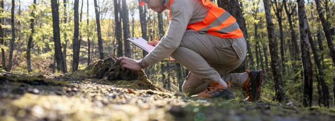 A field scientist dressed in safety gear conducts environmental studies in a lush forest during daylight