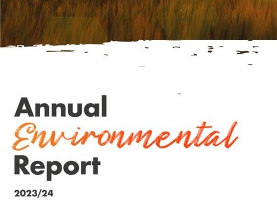 Annul environment report