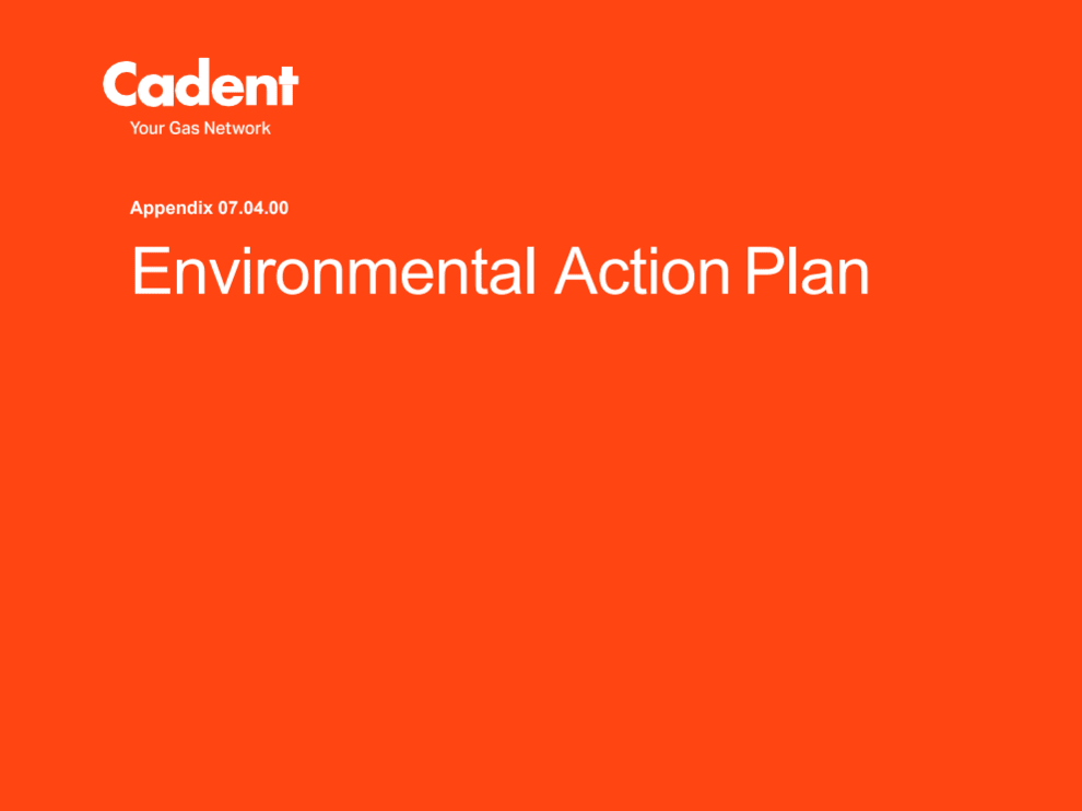 Environmental action plan
