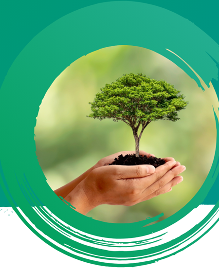 Hands gently cradling a small tree against a blurred green background, symbolizing growth and environmental care. Circular design with artistic green elements.
